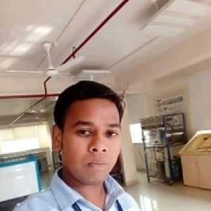 Kumar Anish-Freelancer in Rajgir,Bihar,India