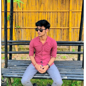 Hrishav Das-Freelancer in Karimganj,India
