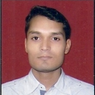 Parvez Ameen-Freelancer in Udaipur,India