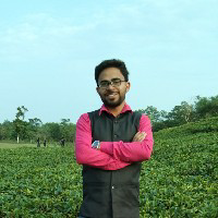 Rabiul Alam-Freelancer in Kolkata,India
