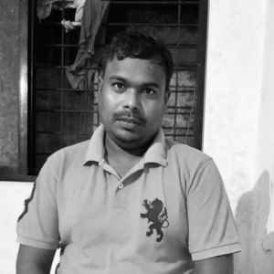 Sunil Kumar Patra-Freelancer in ,India
