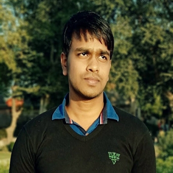 Akash Prajapati-Freelancer in Delhi,India