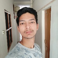 Anshuman Singh-Freelancer in Indore,India