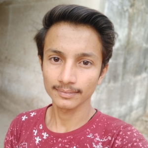Pravin Marwadi-Freelancer in Ahmedabad,India