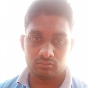 Chandra Shekhar Naidu-Freelancer in ,India