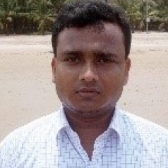 Sharawan Kumar Thakur-Freelancer in Bengaluru,India
