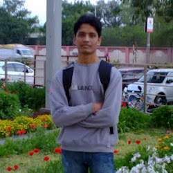 Narender Singh Tanwar-Freelancer in ,India