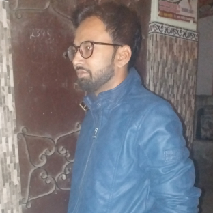 Mohd Amir Hussain-Freelancer in Kanpur,India