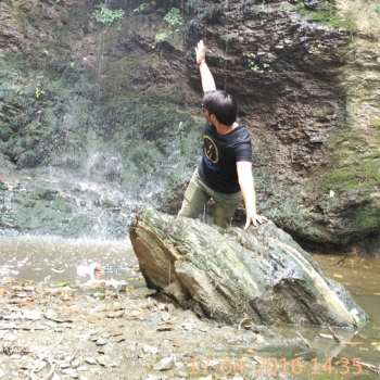 Pushpender Thakur-Freelancer in ,India