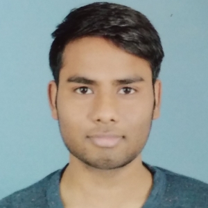 Kishan Kumar-Freelancer in New Delhi,India
