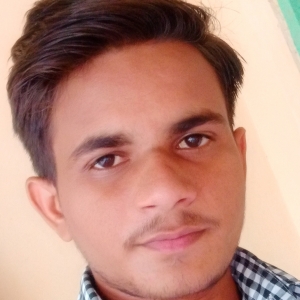 Bhanubhai Pandya-Freelancer in ,India