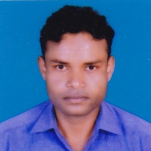 Santosh Kumar Meshram-Freelancer in Bhopal,India