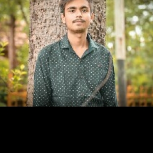 Roshan Rajlani-Freelancer in Surat,India