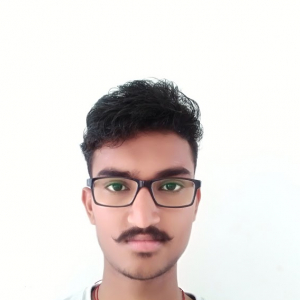 Ravi Kumar-Freelancer in Jamnagar,India