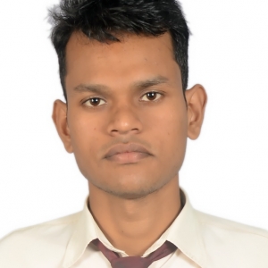 Narendra Raikwar-Freelancer in ,India