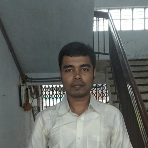 Niloy Kumar Das-Freelancer in Dhaka,Bangladesh