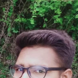 Harshikesh Sojitra-Freelancer in ,India