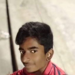 Willson Chinnam-Freelancer in Hyderabad,India