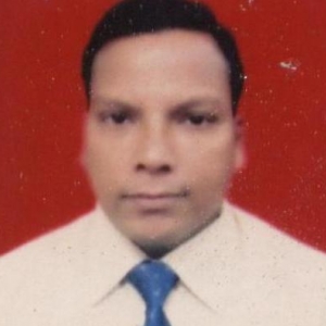 Binod Bihari Raul-Freelancer in Hyderabad,India
