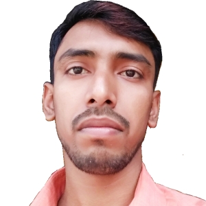 Raju Chakraborty-Freelancer in Halishahar ,India