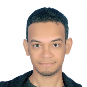 Hosam Mohammed-Freelancer in Qena,Egypt