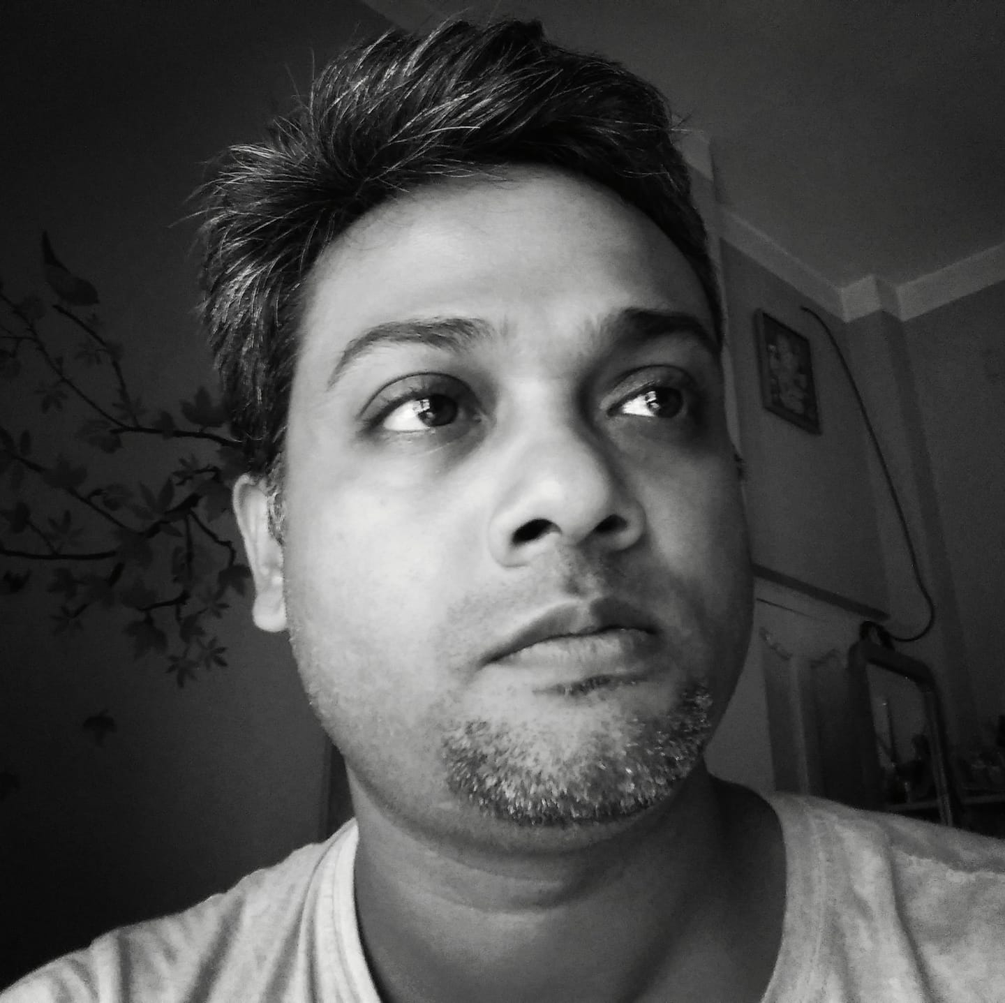 Rajib Ghosh-Freelancer in ,India