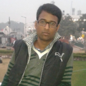 Neeraj Gupta-Freelancer in Raipur,India
