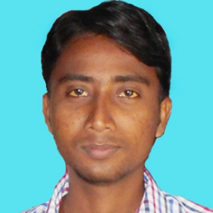 Sahidul Hoque-Freelancer in Dinhata,India