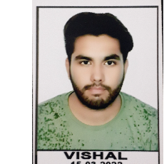 Vishal Narsinghani-Freelancer in Indore,India