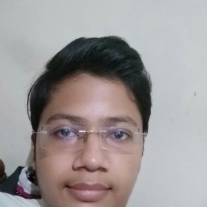 Joshi Prince-Freelancer in State: Gujarat, District: Junagadh,India