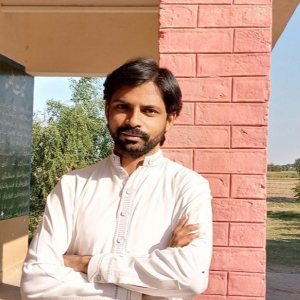 Anwar Hussain Shah-Freelancer in ,Pakistan