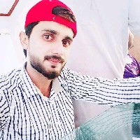 Ali Hamza-Freelancer in Chak 149/M,Pakistan