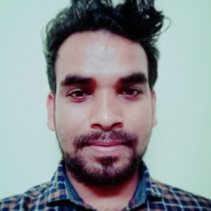 Rajib Paswan-Freelancer in Kolkata,India