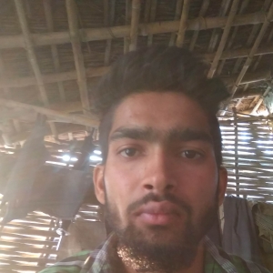 Vikral Aryan-Freelancer in ,India
