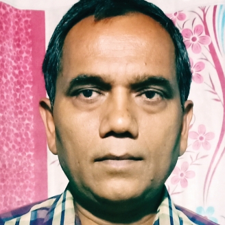 Rajesh N Rathor-Freelancer in Nagpur,India