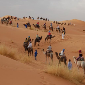 Face Tours-Freelancer in Agadir Morocco,Morocco