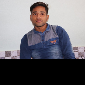Sanjeeb Kumar Meher-Freelancer in Sonepur,India