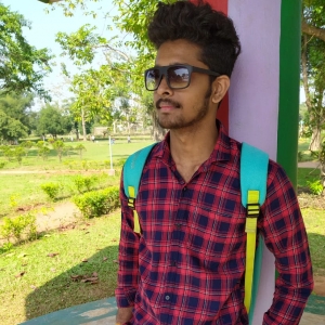 Sourav Kumar Behera-Freelancer in Bhubaneshwar,India