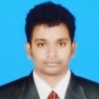 V Bhaskar Praveen-Freelancer in VISAKHAPATNAM,India