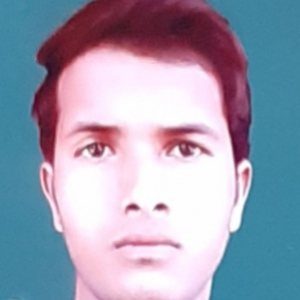 Rathod Bhemabhai Bhemabhai-Freelancer in Palanpur ,India