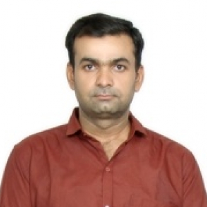 Sandipkumar Patel-Freelancer in Mumbai,India