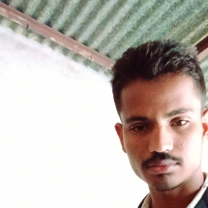 Rajesh Charan-Freelancer in Jodhpur,India