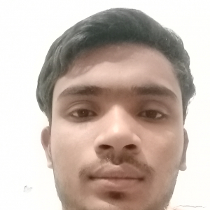 Talib Ali-Freelancer in ,India