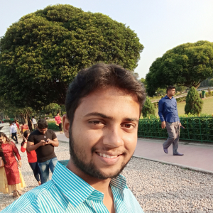 Bhaskar Ghosh-Freelancer in ,India