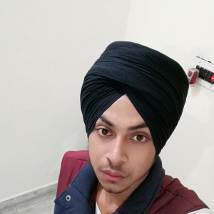 Parmbir Singh-Freelancer in TARN TARAN,India