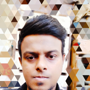 Irfan Shaikh-Freelancer in ,India
