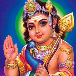 Manju-Freelancer in Bengaluru,India