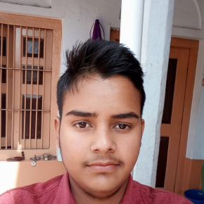 Shubham Sharma-Freelancer in Chirawa, jhunjhunu, Rajasthan,India