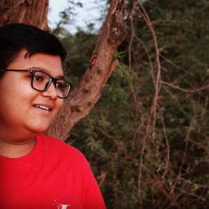 Vishwarajsinh Raulji-Freelancer in ,India