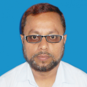 Mohammad Naushad Alam-Freelancer in ,India